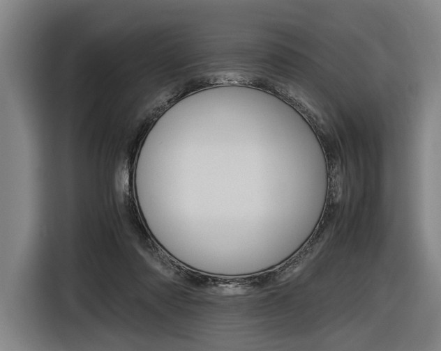X0000116620310200912110946