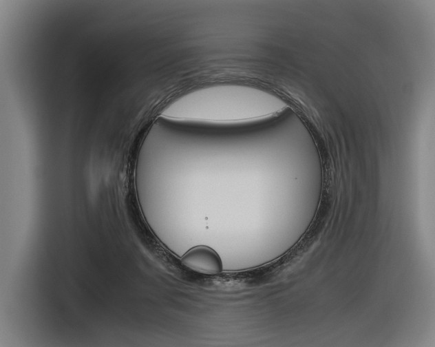 X0000116620311200912110946