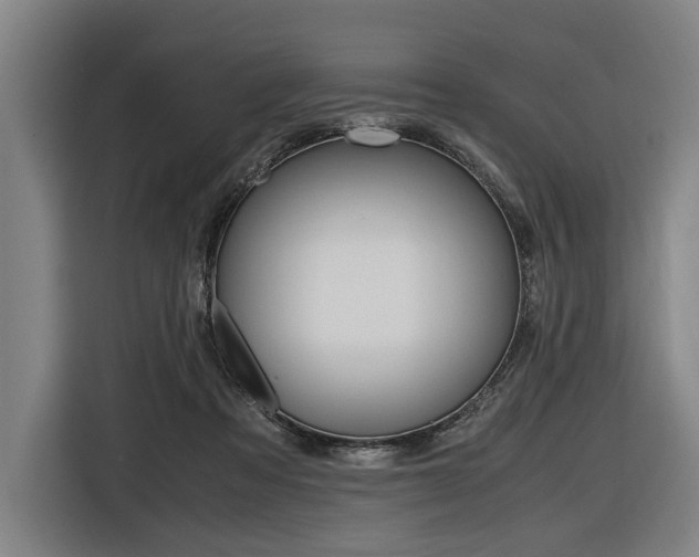X0000116620313200912110946