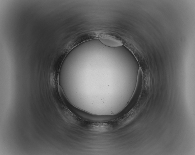 X0000116620316200912110946