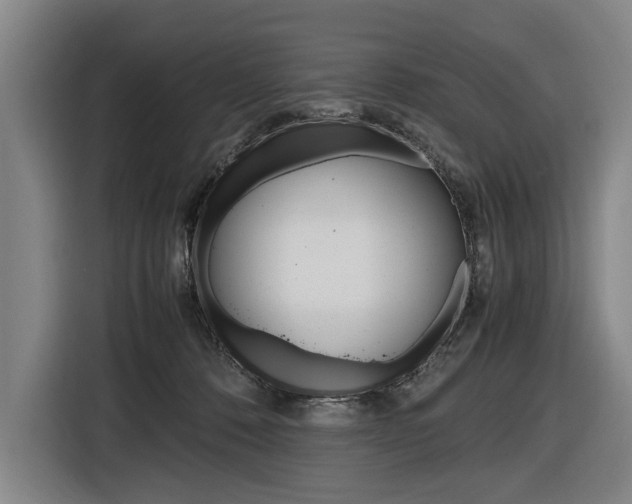 X0000116620320200912110946