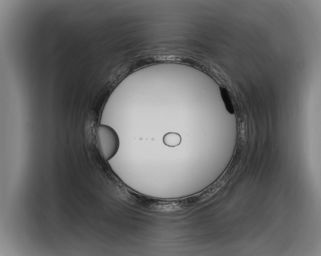 X0000116620322200912110946