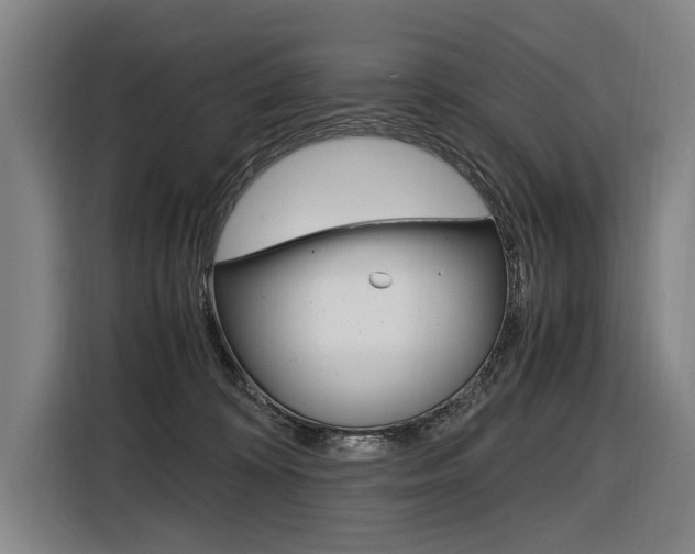 X0000116620324200912110946