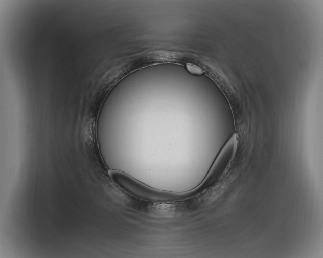 X0000116620325200912110946