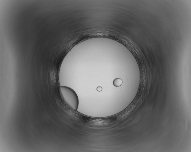 X0000116620326200912110946