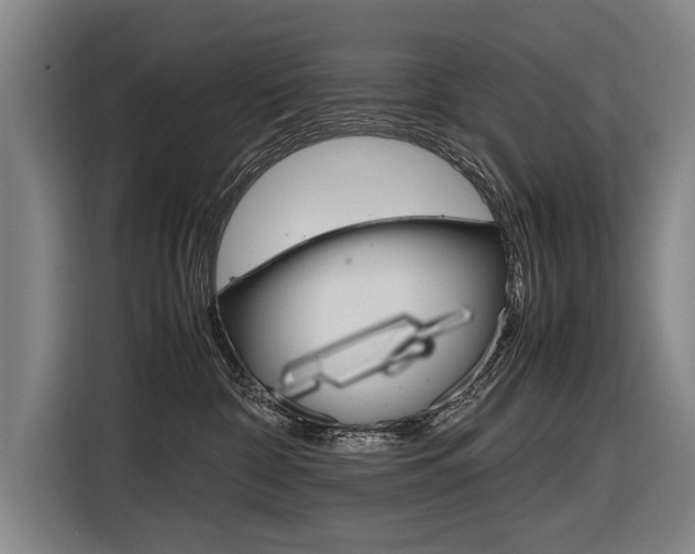 X0000116620332200912110946
