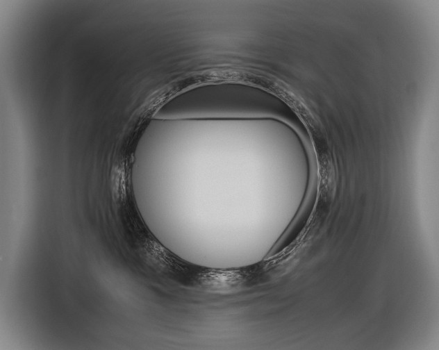 X0000116620333200912110946