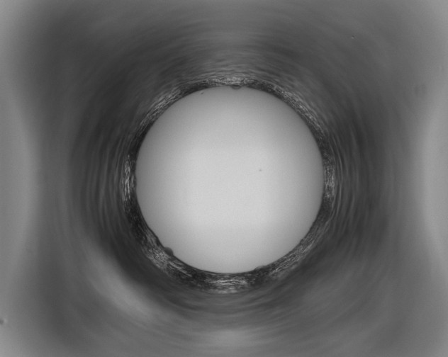 X0000116620334200912110946
