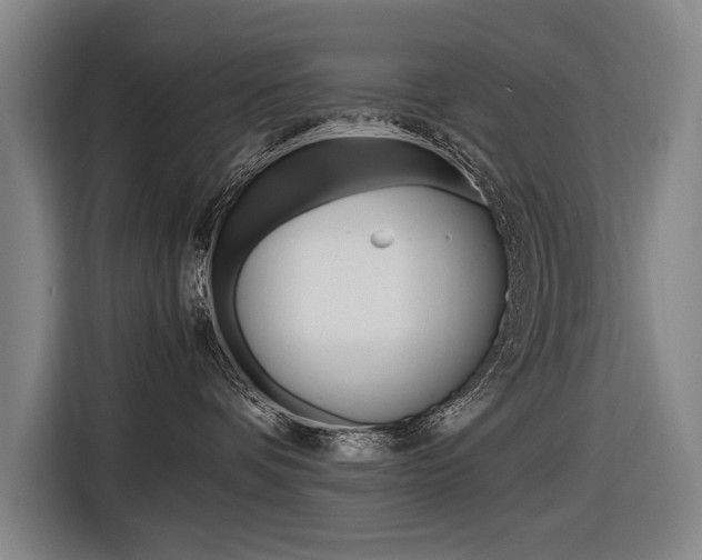 X0000116620336200912110946