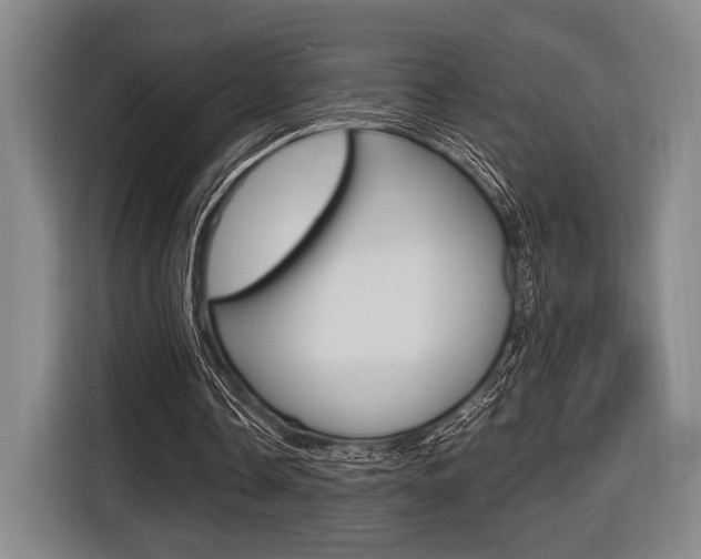X0000116620338200912110945