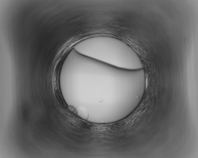 X0000116620339200912110945