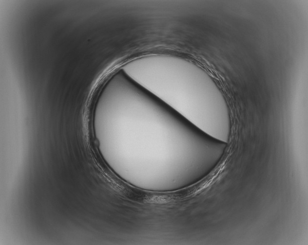 X0000116620341200912110945