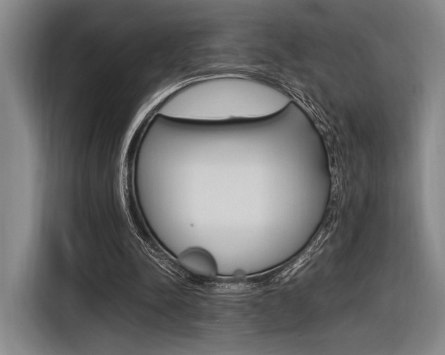 X0000116620342200912110945