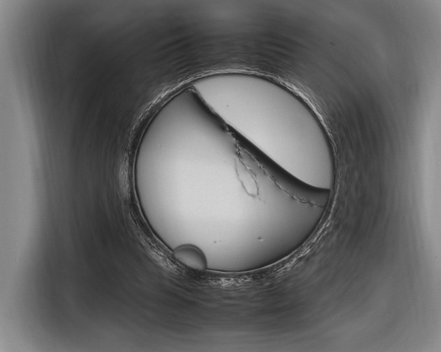 X0000116620345200912110945
