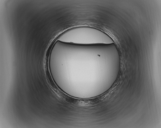 X0000116620346200912110945