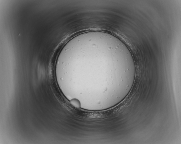 X0000116620347200912110945