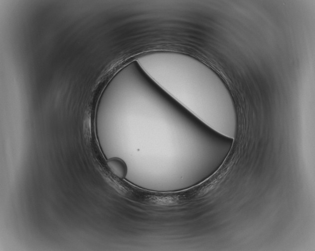 X0000116620349200912110945