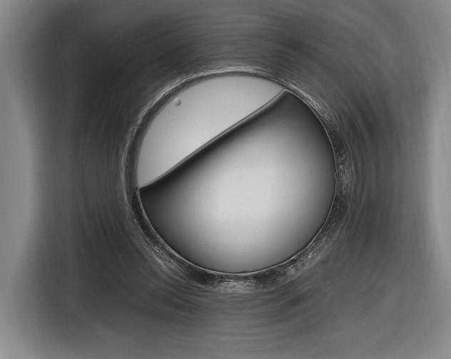 X0000116620350200912110945