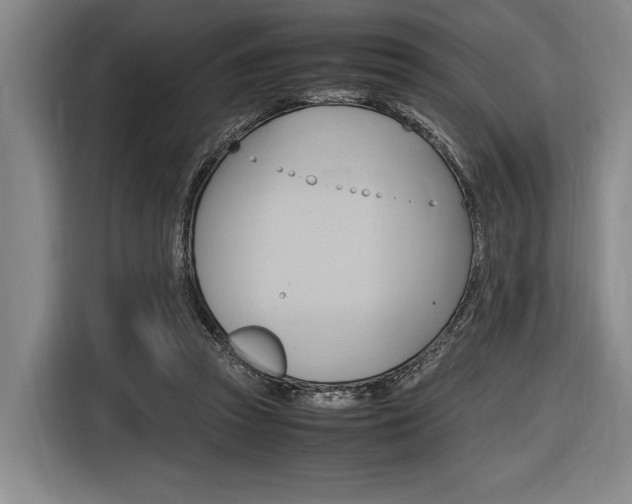 X0000116620353200912110945