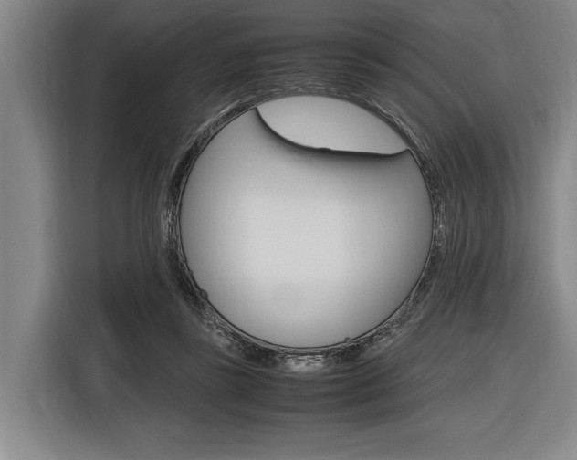 X0000116620355200912110945