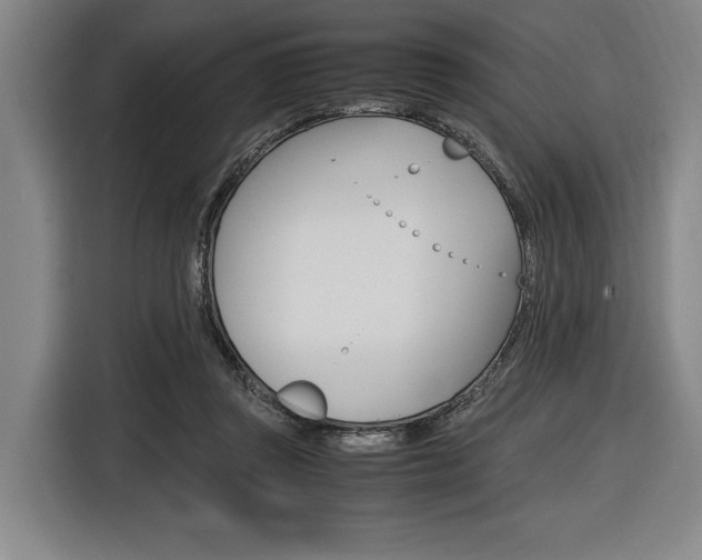 X0000116620357200912110945