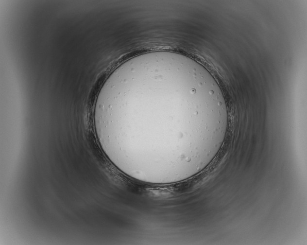 X0000116620359200912110945