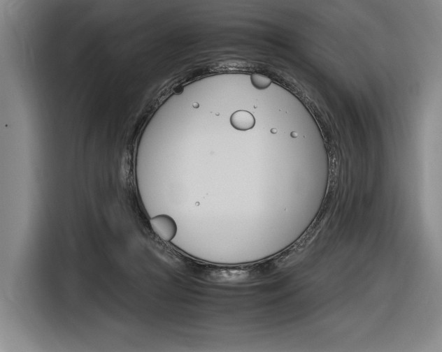 X0000116620361200912110945
