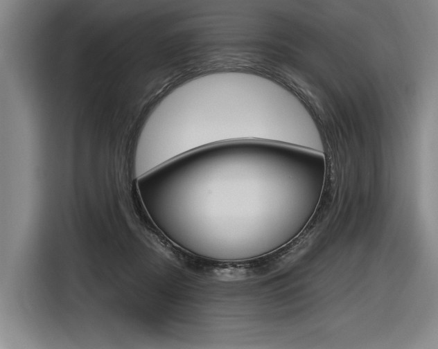 X0000116620362200912110945