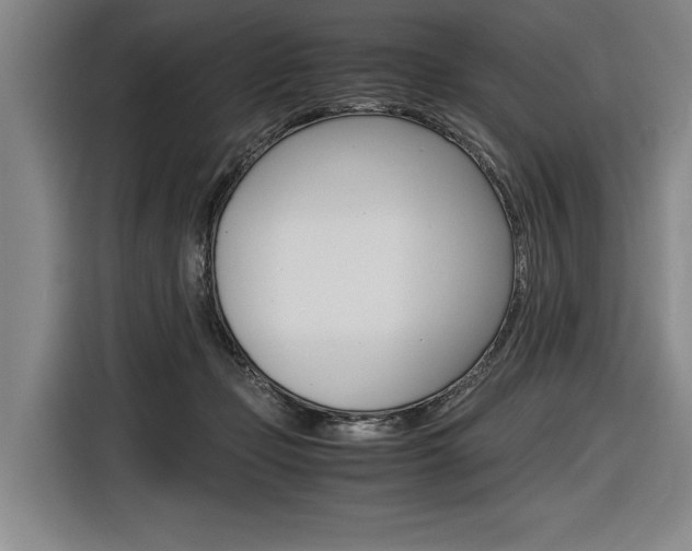 X0000116620365200912110945