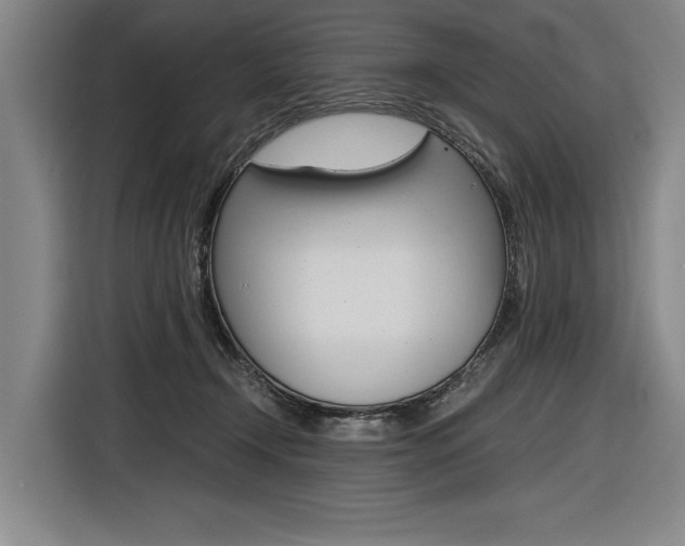 X0000116620366200912110945