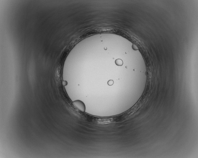 X0000116620373200912110945