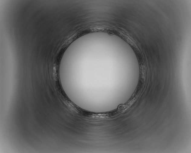 X0000116620378200912110945