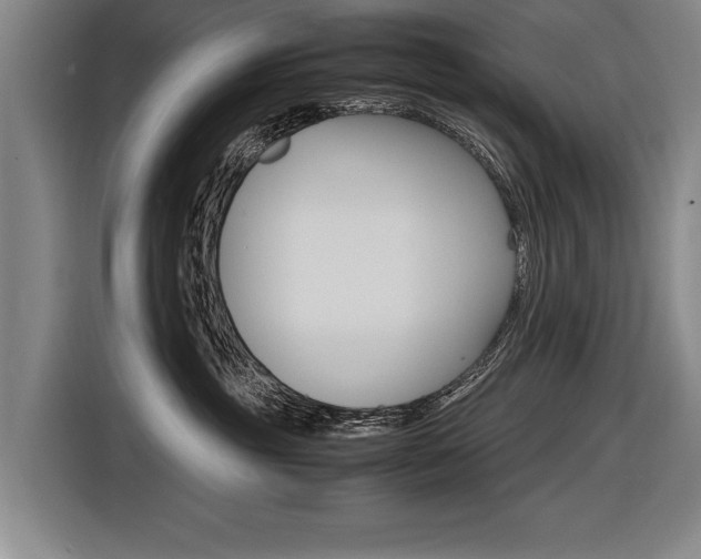 X0000116620381200912110946