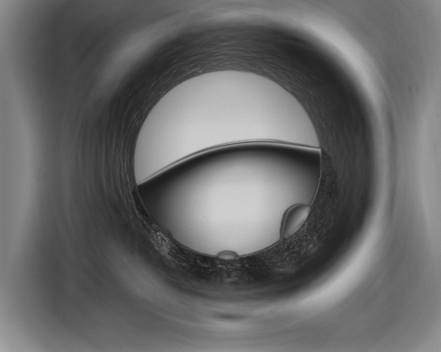 X0000116620382200912110946