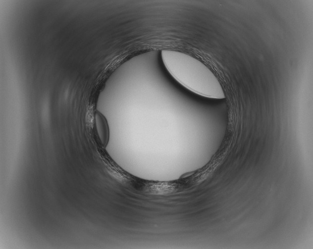 X0000116620383200912110946