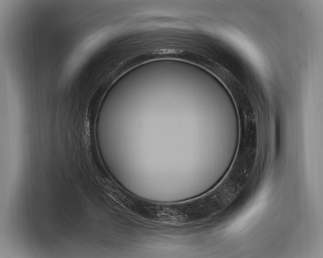 X0000116620387200912110945