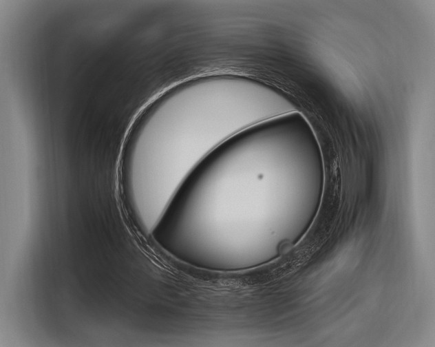 X0000116620388200912110945