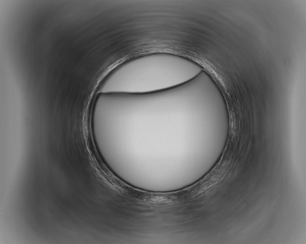 X0000116620390200912110945
