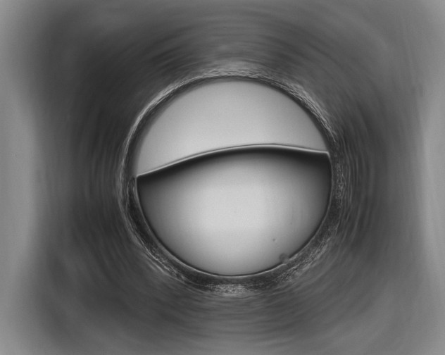 X0000116620392200912110945