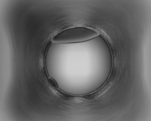 X0000116620393200912110945