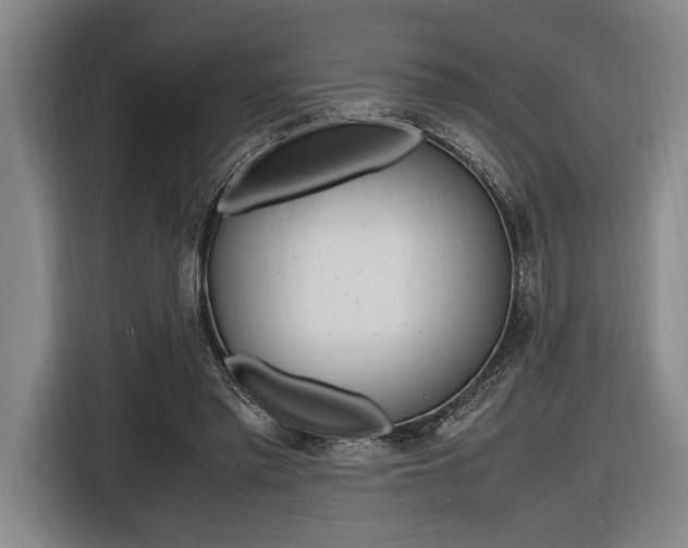 X0000116620397200912110945