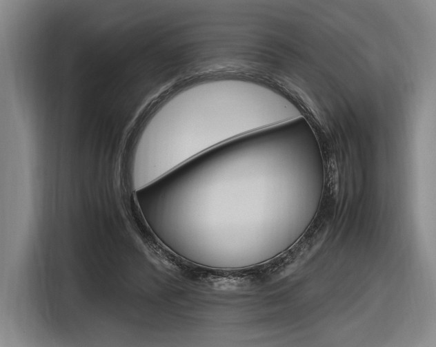 X0000116620400200912110945