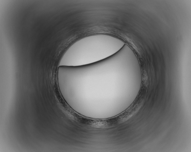 X0000116620402200912110945