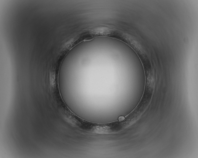 X0000116620403200912110945