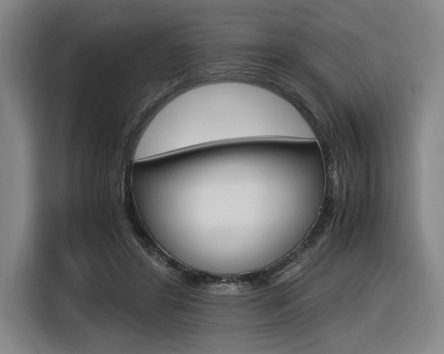 X0000116620404200912110945