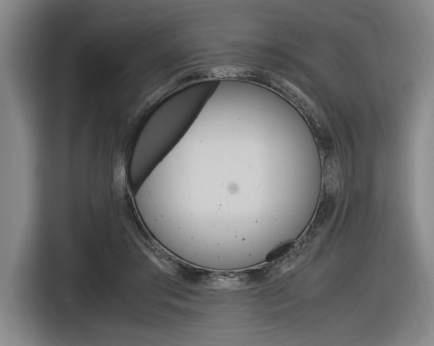 X0000116620405200912110945