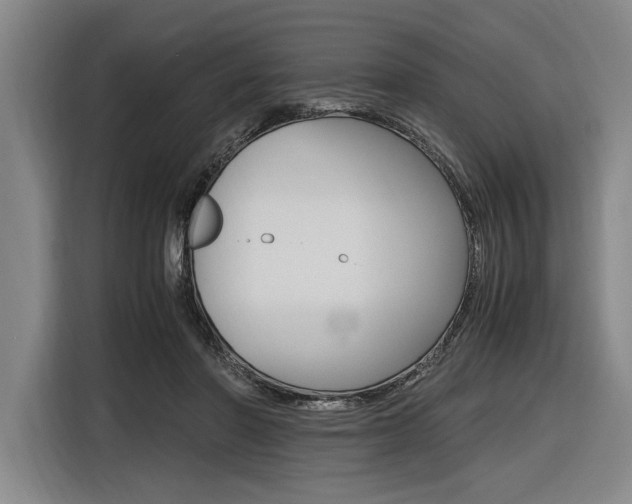 X0000116620406200912110945