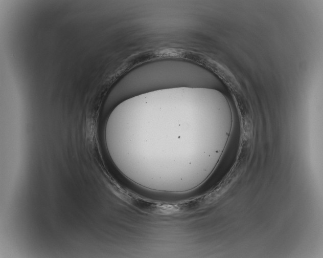 X0000116620409200912110945