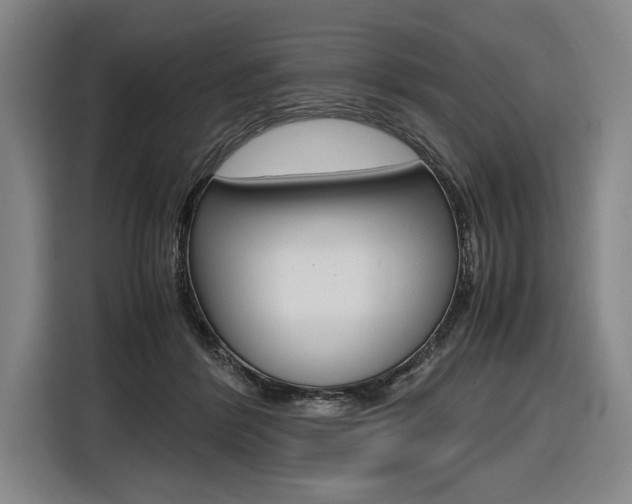 X0000116620412200912110945