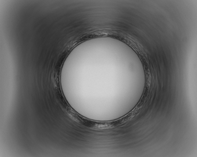 X0000116620414200912110945